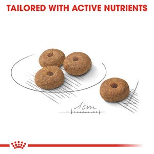 tailored with active nutrients